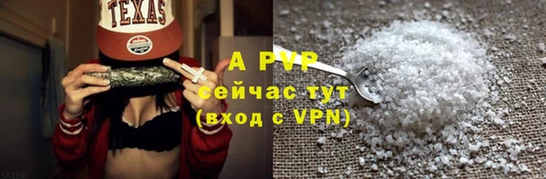 a pvp Белокуриха